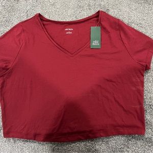 Wild fable red crop baby tee